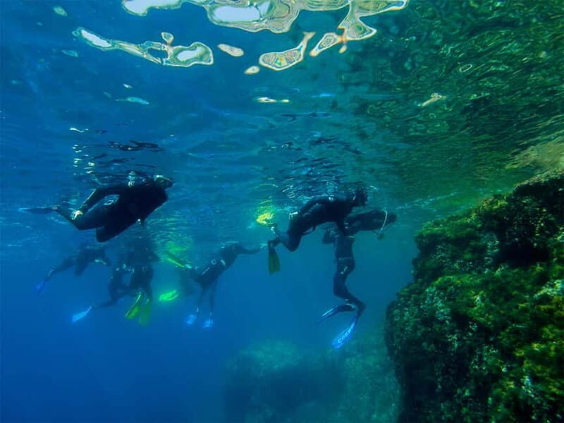 Nice: Snorkeling Speedboat Tour in Villefranche Bay - The Experience: What to Expect
