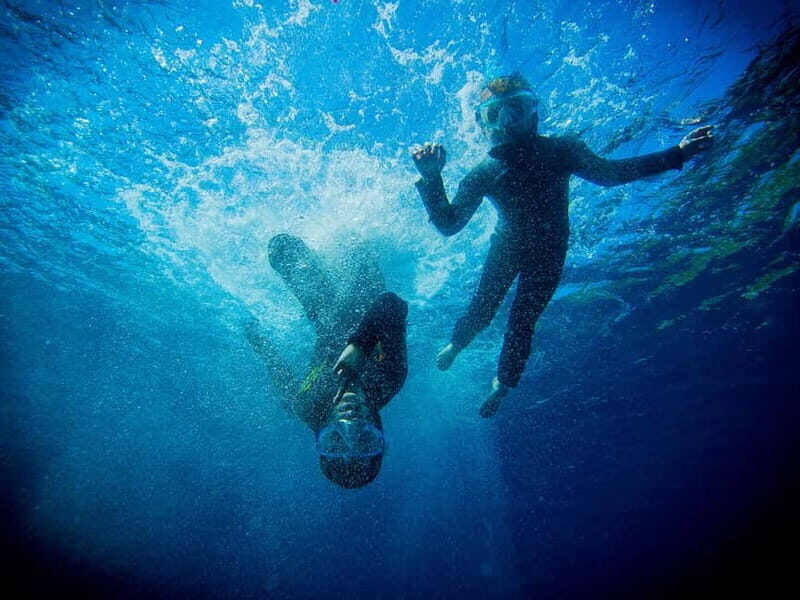Nice: Snorkeling Speedboat Tour in Villefranche Bay - The Gear and Safety