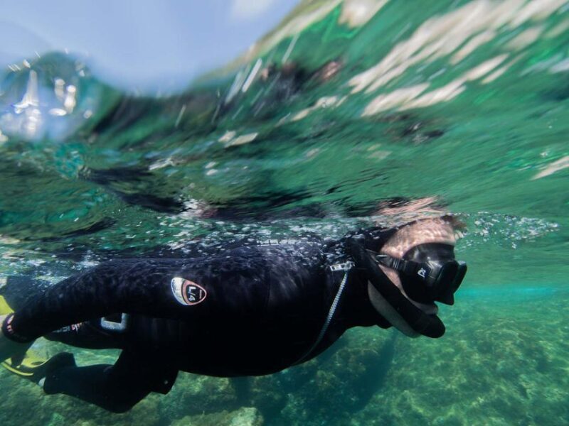 Nice: Snorkeling Speedboat Tour in Villefranche Bay - Final Thoughts