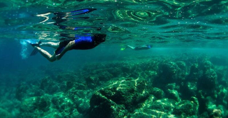 nice-speedboat-day-trip-with-snorkeling-in-villefranche-bay