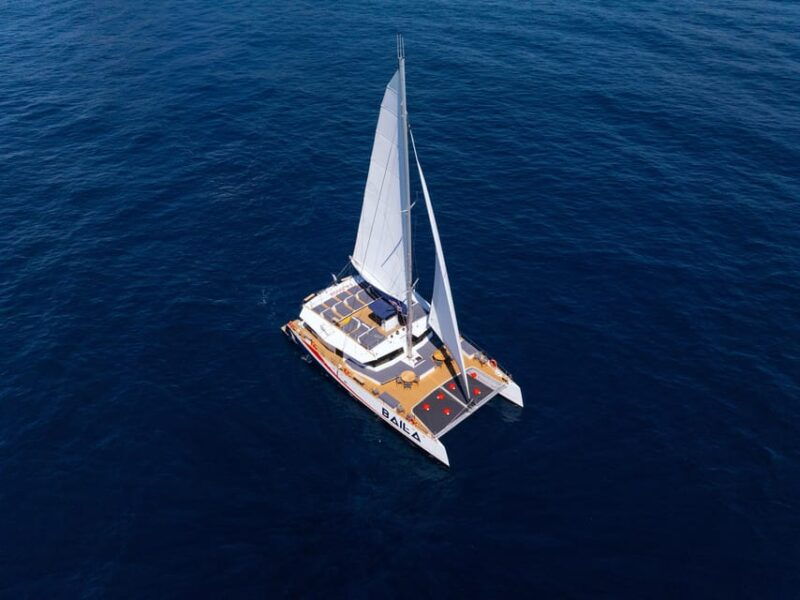 nice-the-morning-discovery-at-sea-guided-tour-of-the-coastline-on-a-catamaran