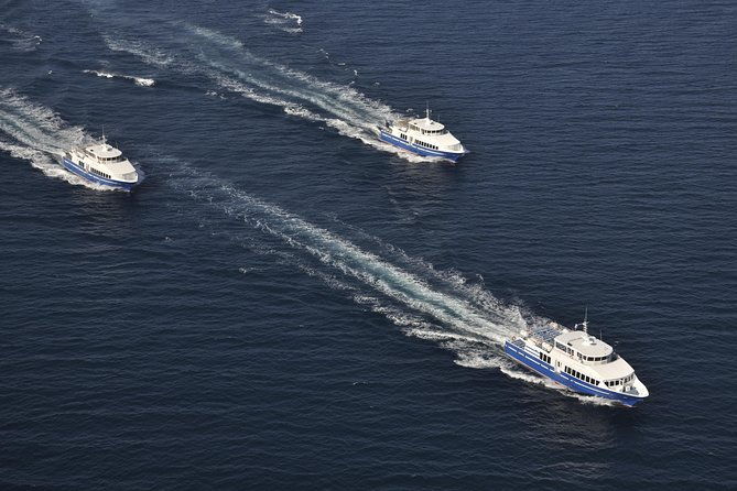 nice-to-st-tropez-ferry-ticket-and-cruise