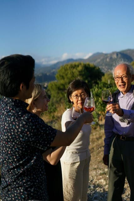 nice-vineyard-tour-with-wine-tasting