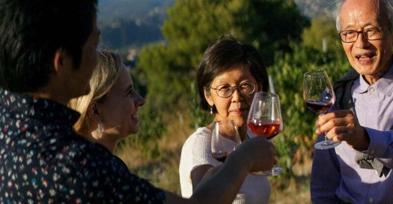 nice-vineyard-tour-with-wine-tasting