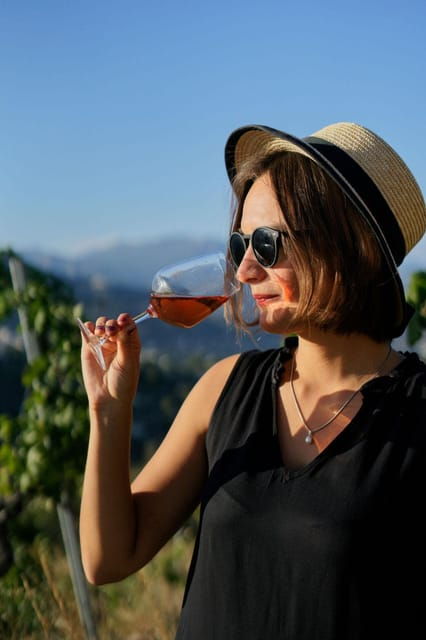 nice-vineyard-tour-with-wine-tasting