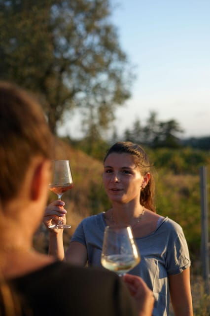 nice-vineyard-tour-with-wine-tasting