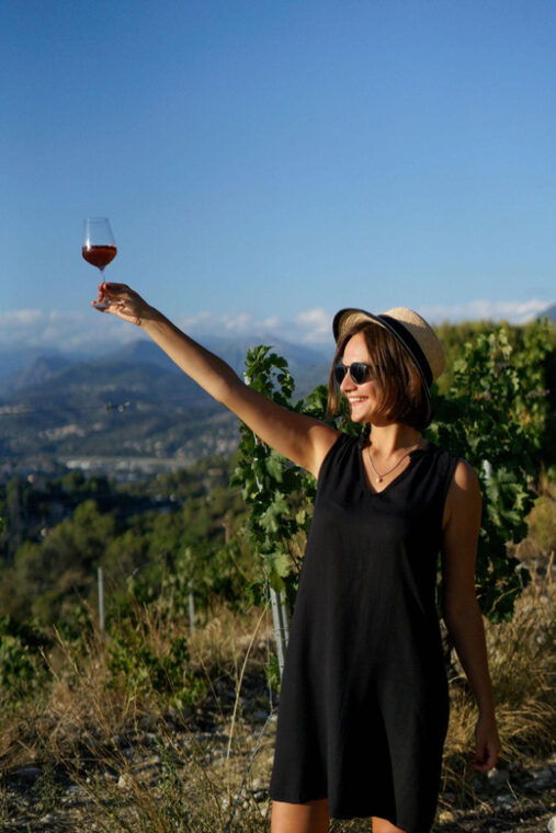 nice-vineyard-tour-with-wine-tasting