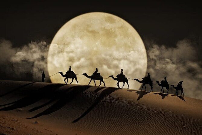 Night Desert Safari, Stargazing, Dune Driving & Inland Sea Visit - Exploring the Night Desert Safari, Stargazing, Dune Driving & Inland Sea Visit