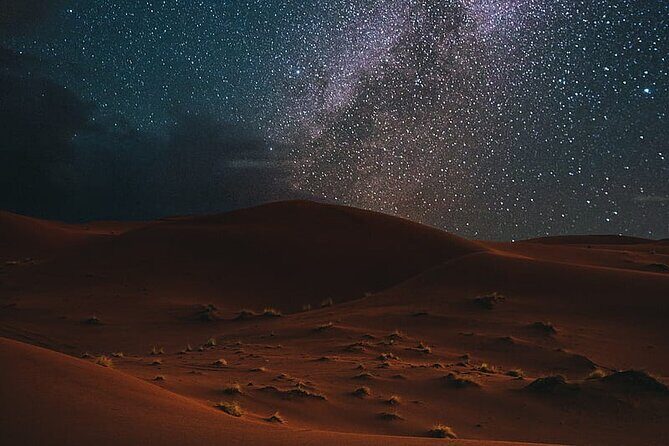 Night Desert Safari, Stargazing, Dune Driving & Inland Sea Visit - Final Thoughts: Is It Worth It?