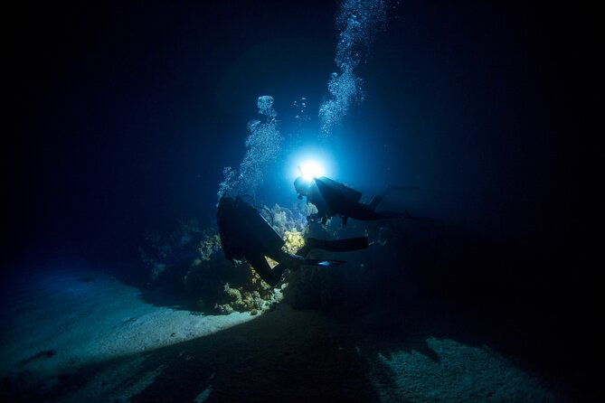night-dive-adventure-in-oahu