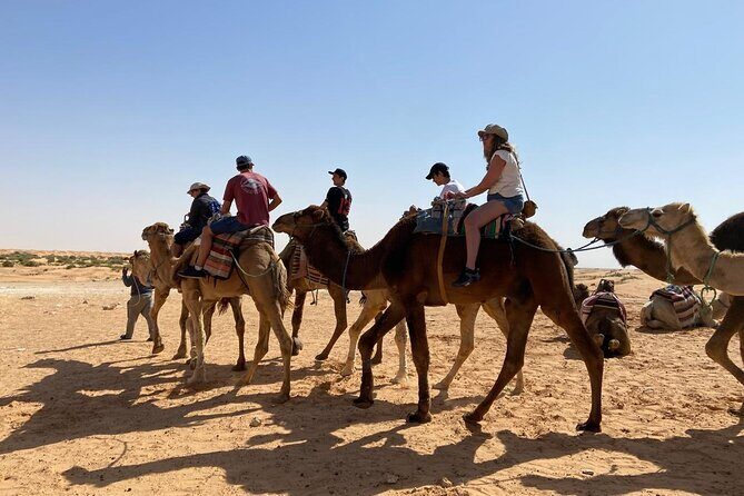 Night excursion to the desert and Berber village from Djerba - A Detailed Look at the Tour Experience