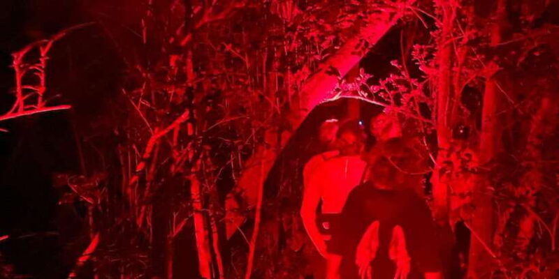 night-hike-to-see-elusive-rare-loris-in-sigiriya