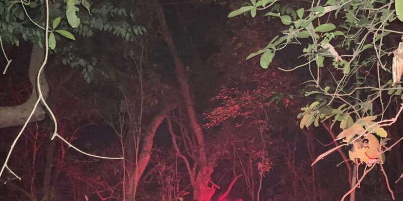 night-hike-to-see-elusive-rare-loris-in-sigiriya