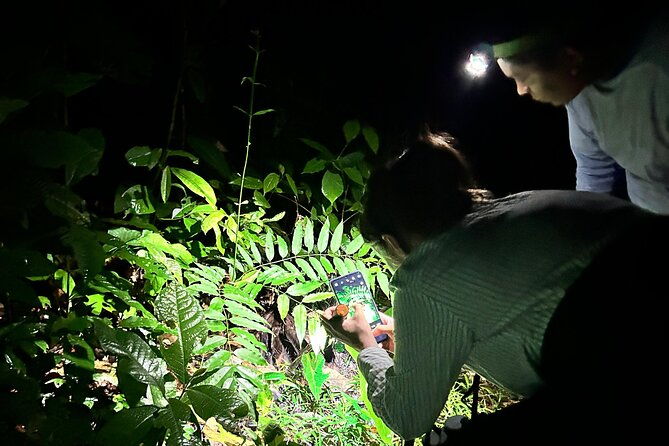 night-hiking-tour-at-the-gandoca-manzanillo-mixed-refuge
