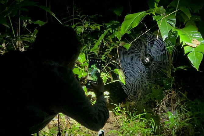 night-hiking-tour-at-the-gandoca-manzanillo-mixed-refuge