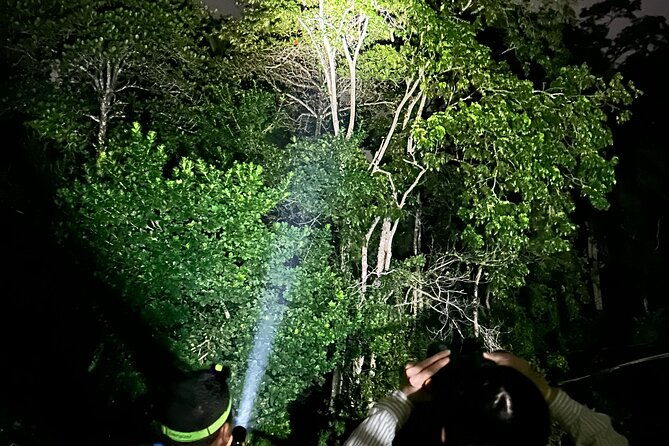 night-hiking-tour-at-the-gandoca-manzanillo-mixed-refuge