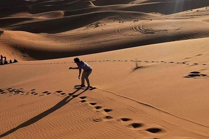 Night in Erg chebbi Desert, Camel Ride, Departure From Errachidia - Authenticity, Comfort, and Value