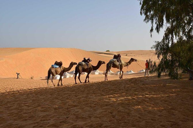Night in the desert of Lompoul - Key Points