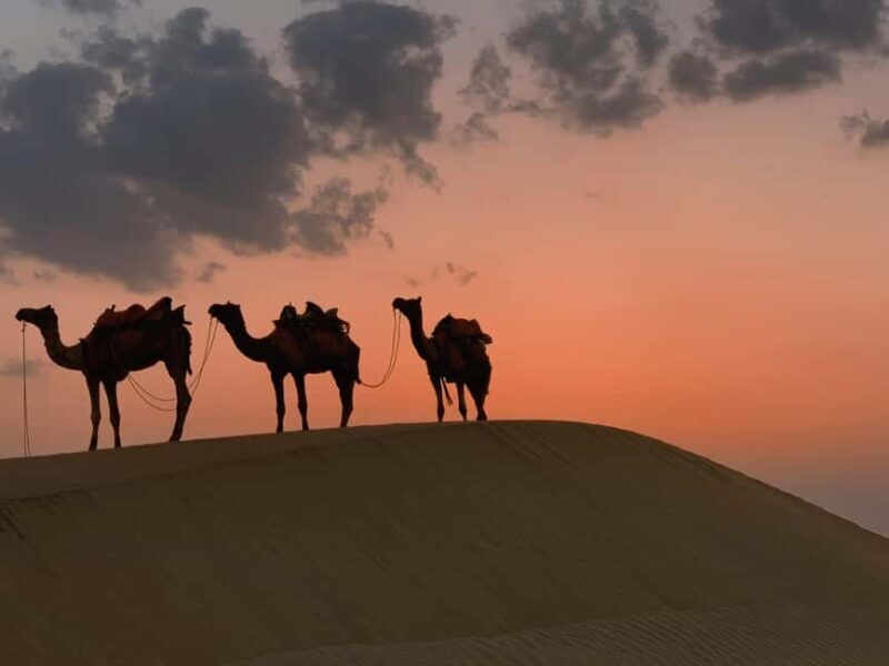 Night in the Desert Overnight Camping in Salalah - Conquering the Dunes: Al Khadaf and Dune Bashing