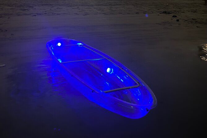 Night kayaking in Dubai with Burj Khalifa views - Exploring Dubai by Night: An In-Depth Review