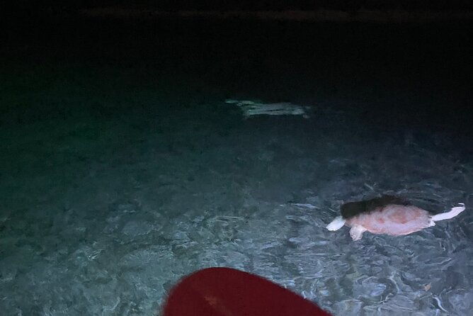 night-kayaking-with-liquid-glow