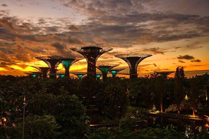 Night out with 6 Food Tastings, Spectra & Garden Rhapsody Shows - FAQ