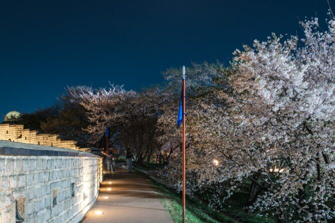[Night Private Tour] Suwon Cherry Blossom & Hwaseong Fortress - FAQ