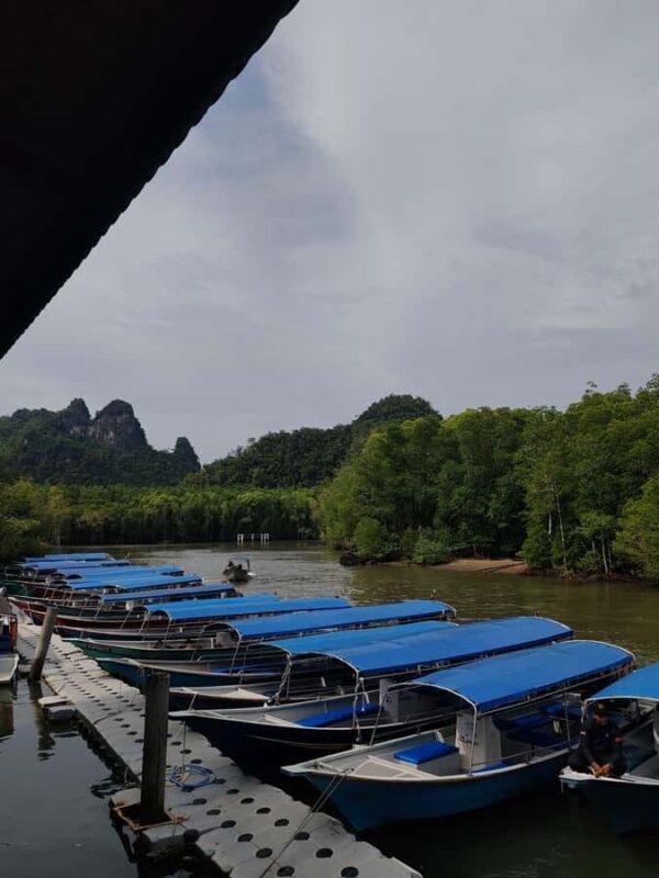 Night Safari Mangrove Tour with Guide & BBQ Buffet - The Logistics: Practical Details & Tips