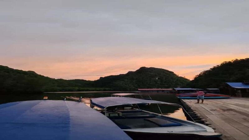 Night Safari Mangrove Tour with Guide & BBQ Buffet - Final Thoughts