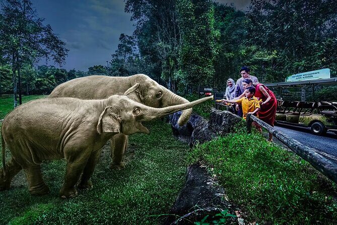 Night Safari Singapore Skip the Line Tickets with Tram Ride - Introduction