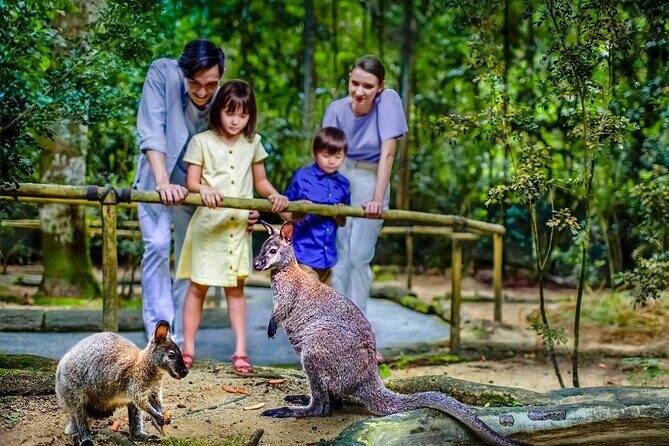 Night Safari Singapore Skip the Line Tickets with Tram Ride - Practical Aspects and Tips