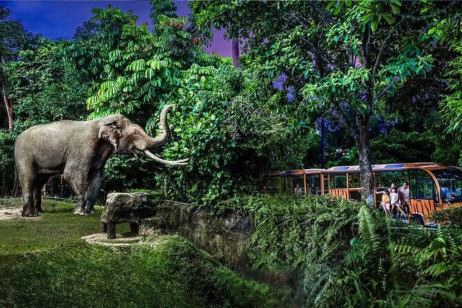 Night Safari Singapore Skip the Line Tickets with Tram Ride - Final Thoughts