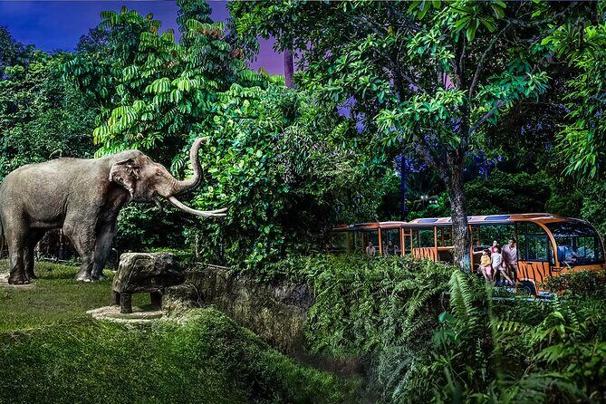 Night Safari Tickets with Tram Ride - What to Expect from the Night Safari Experience