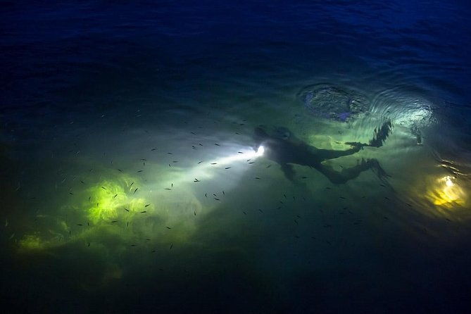 night-shore-diving-mangel-halto-aruba-for-certified-divers