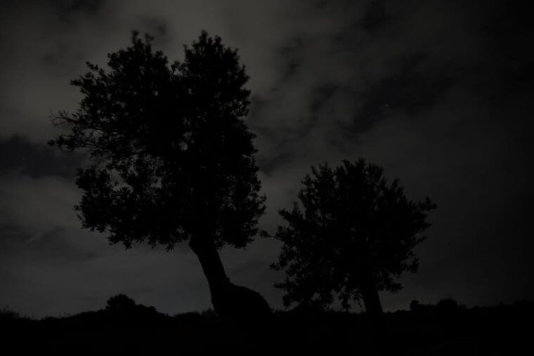 night-sky-observation-and-photography-small-experience