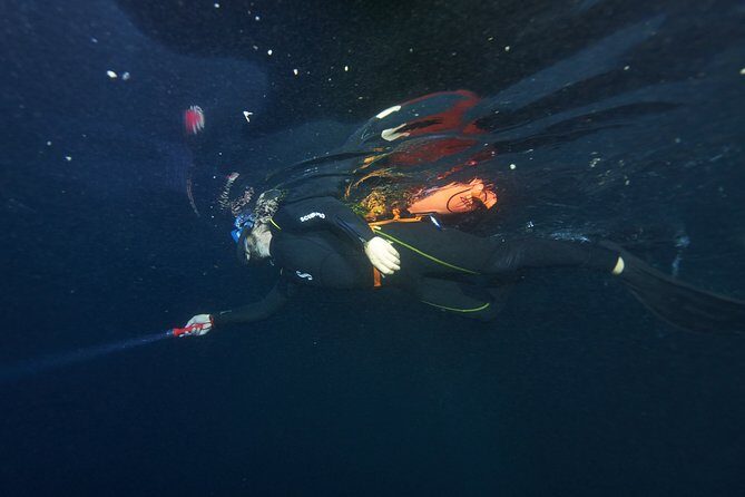 Night Snorkeling - The Sum Up: Is It Worth It?
