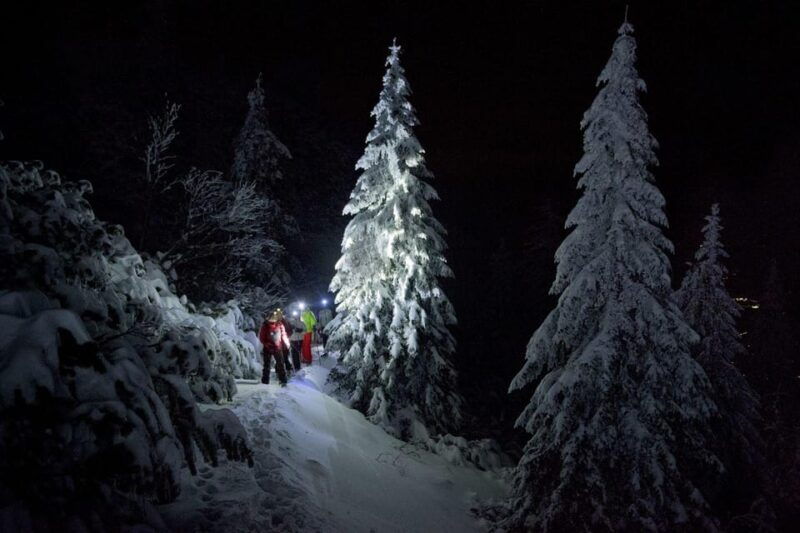 night-snowshoeing-lapland-experience