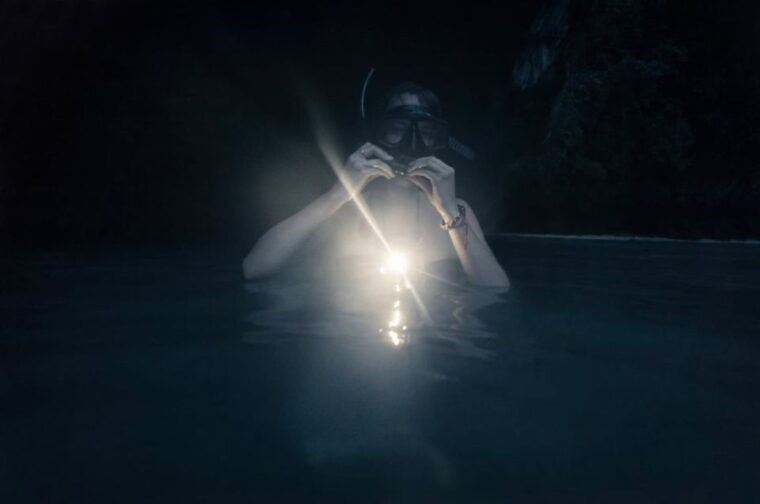 night-time-snorkel-at-turtle-town-with-lights-and-stars