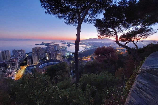 night-tour-in-malaga-enjoy-the-sunset-and-city-lights-2