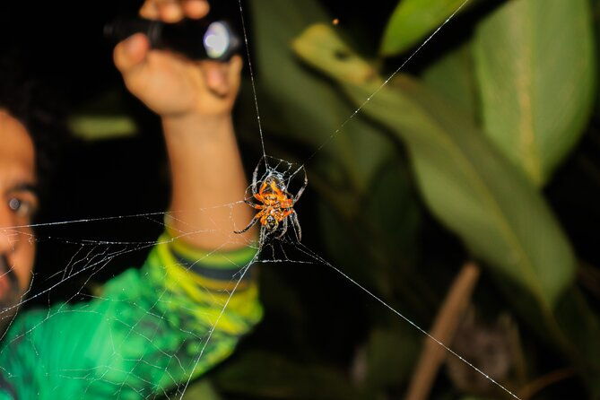 night-tour-la-fortuna