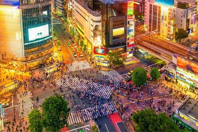 night-tour-tokyo-in-shinjuku