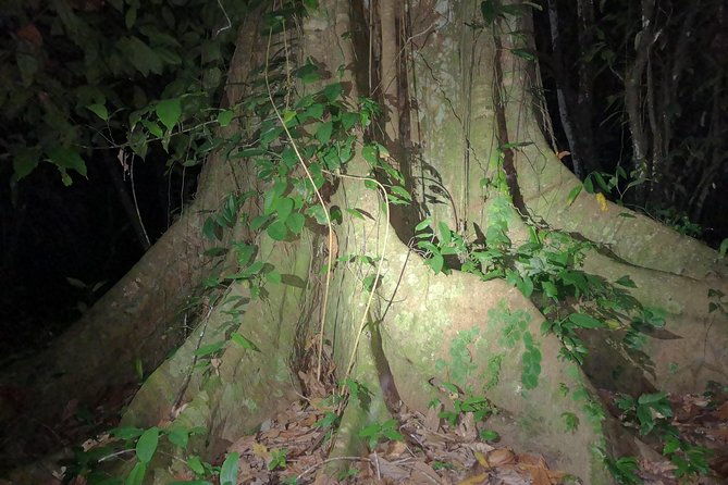 night-tours-at-the-biological-station-in-bri-bri