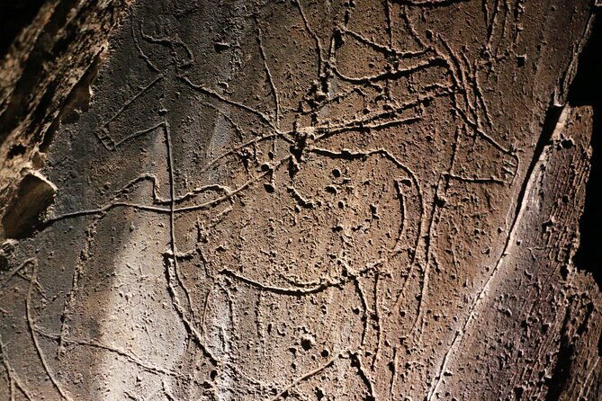 night-visit-to-the-engravings-of-foz-coa-in-4x4-between-douro-and-coa