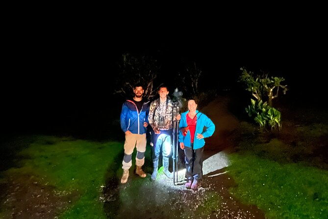 night-walk-among-the-natural-jewels-of-monteverde