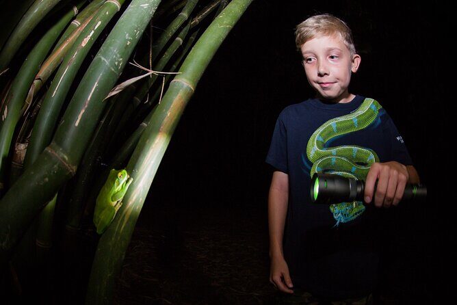 Night Walk in Cairns Botanic Gardens - Let's Go Buggin - What Reviews Say About the Experience