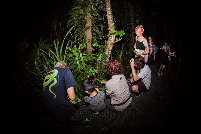 Night Walk in Cairns Botanic Gardens - Let's Go Buggin - Who Should Consider This Tour?