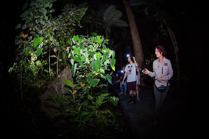 Night Walk in Cairns Botanic Gardens - Let's Go Buggin - FAQ