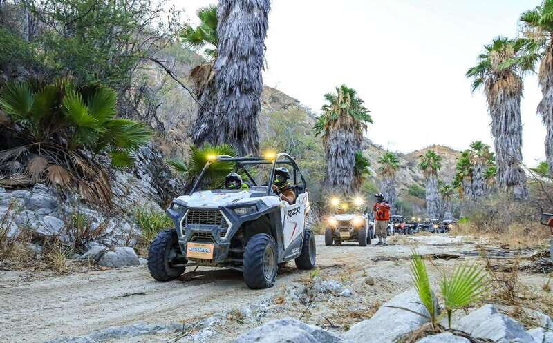 Night Ziplines & UTV Adventure & Mexican Parrillada - FAQs
