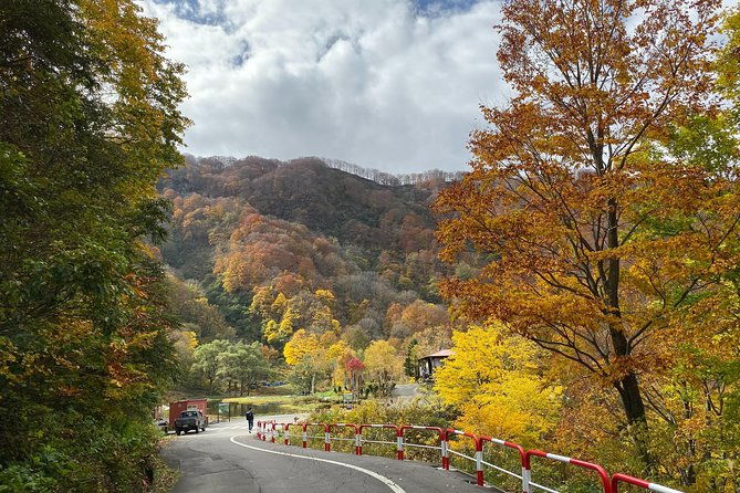 niigata-private-customizable-half-day-tour