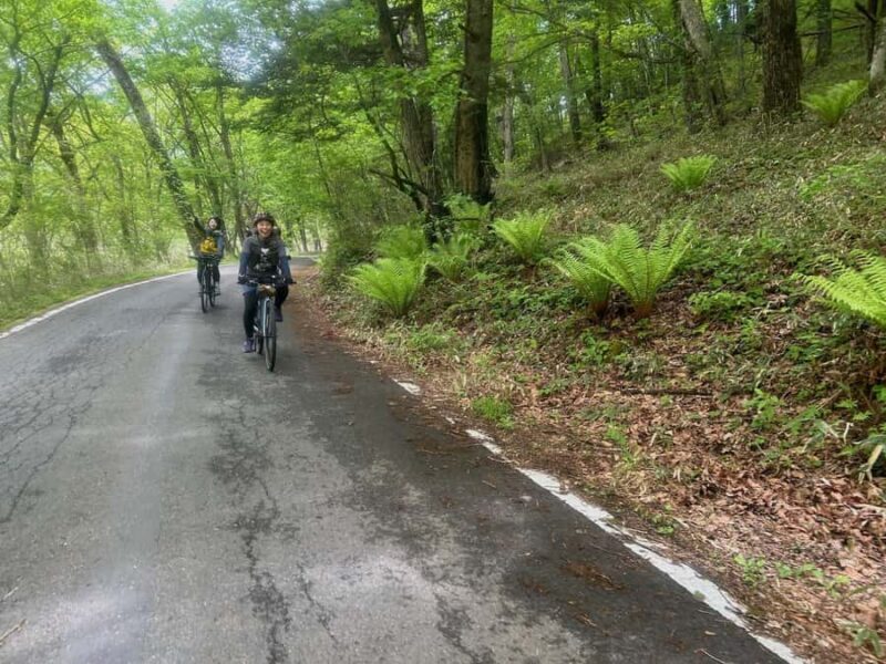 Nikko : Bike and Hike on Mt Hangetsu - Introduction
